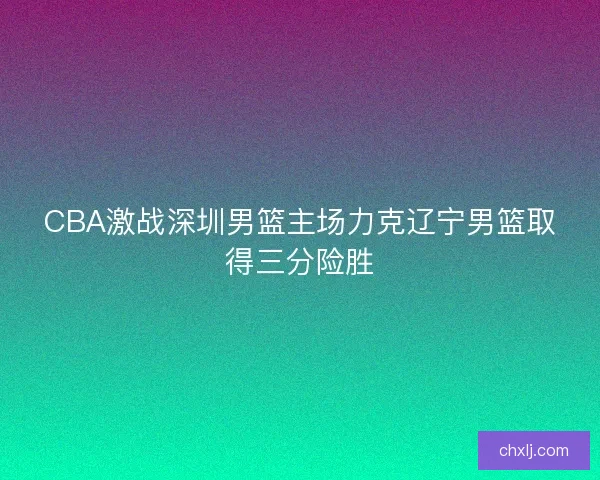 CBA激战深圳男篮主场力克辽宁男篮取得三分险胜